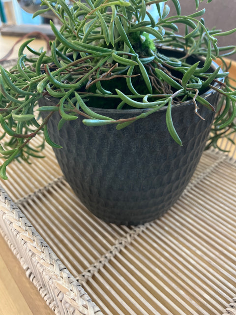 Green/black Ceramic Vase