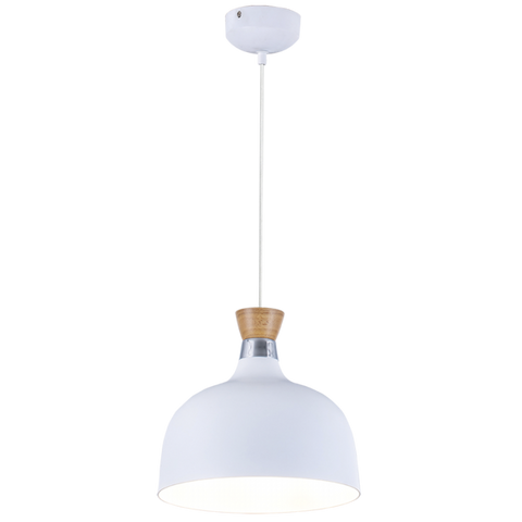 Pendant Dome with Wood Detail
