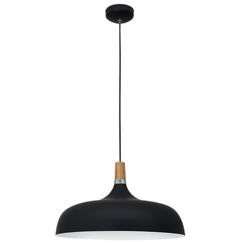 Pendant Metal Dome with Wood Detail