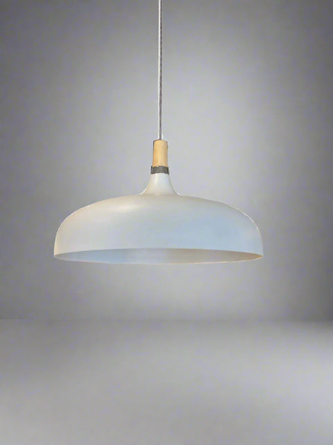 Pendant Metal Dome with Wood Detail