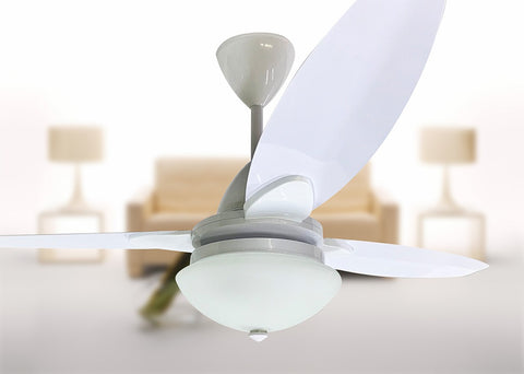 Complete 3 Blade Fan, Remote & Oyster Senorita White