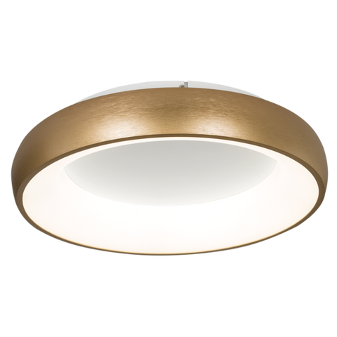 Ceiling Fitting with Gold Trim