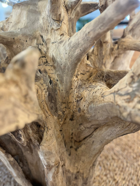 Teak Root Dining or Entrance Hall Table