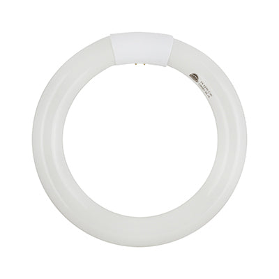 Fluorescent Circline T9 G10q 22W 4000k