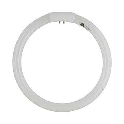 T5 Fluorescent circline 22W G10q Cool White